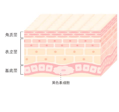 斑和痣|色斑临床诊断最全科普，别再傻傻分不清了